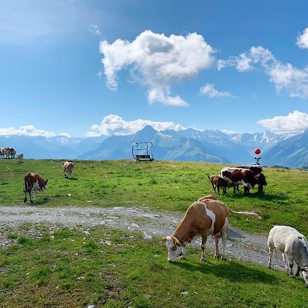 Schneekarhuette Hotel Mayrhofen Buitenkant foto