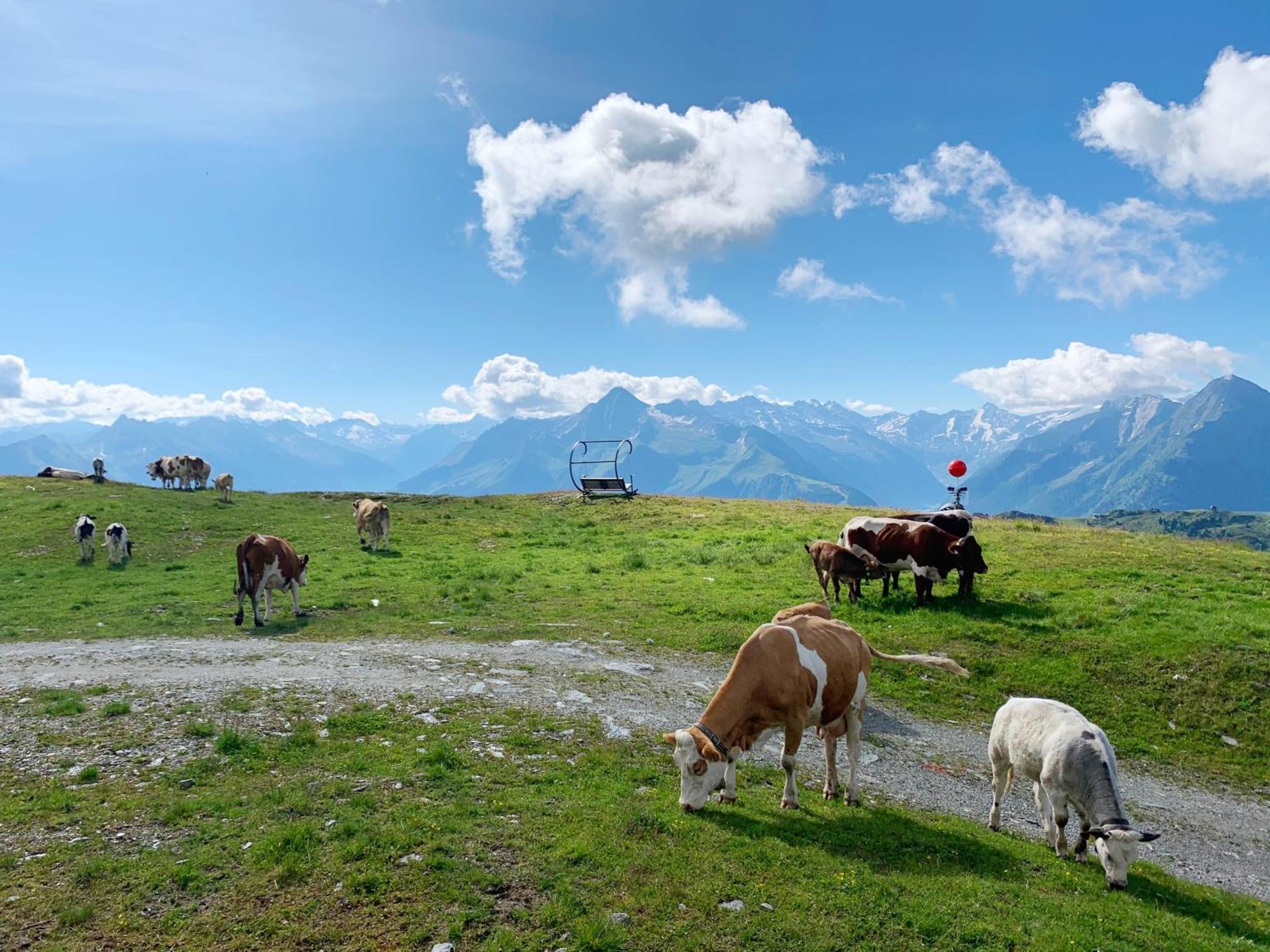 Schneekarhuette Hotel Mayrhofen Buitenkant foto