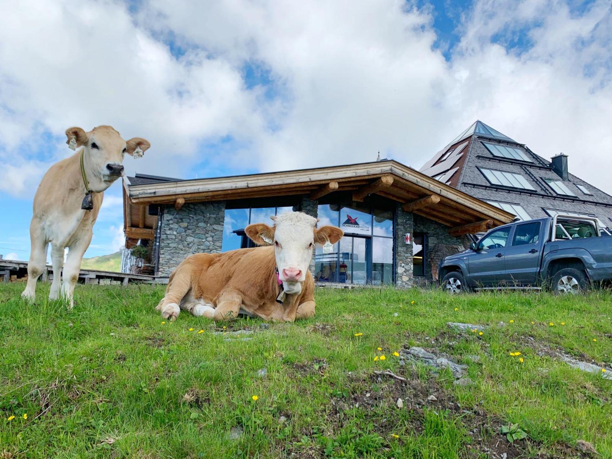 Schneekarhuette Hotel Mayrhofen Buitenkant foto